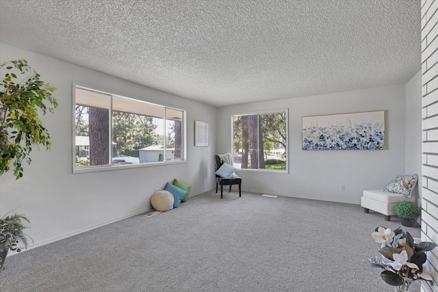 13709 E 30th Ave, Spokane Valley, WA 99216 - unfurnished room featuring healthy amount of natural light, carpet floors, and a textured ceiling