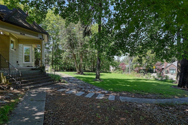 1428 E 18th Ave, Spokane, WA 99203 - view of green lawn