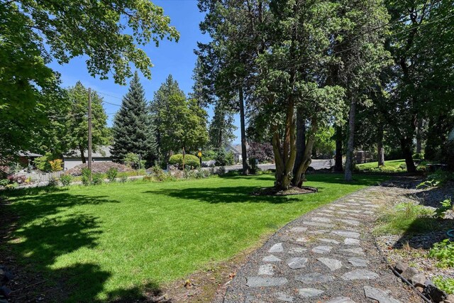 1428 E 18th Ave, Spokane, WA 99203 - view of grassy yard