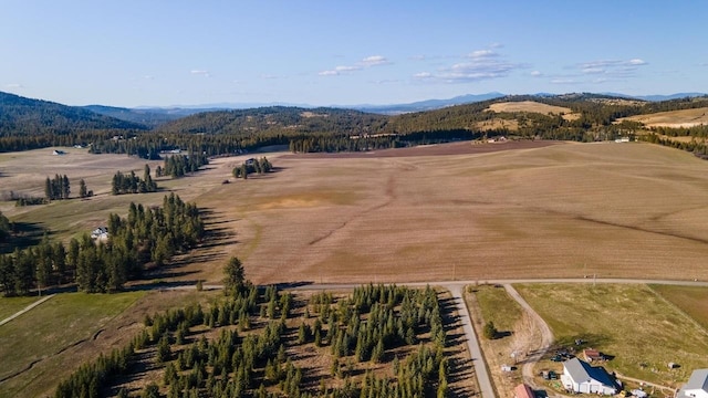 13303 E Gibbs Rd, Mica, WA 99023