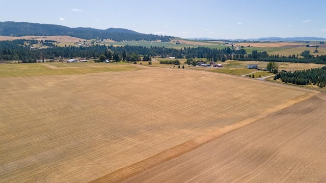13303 E Gibbs Rd, Mica, WA 99023