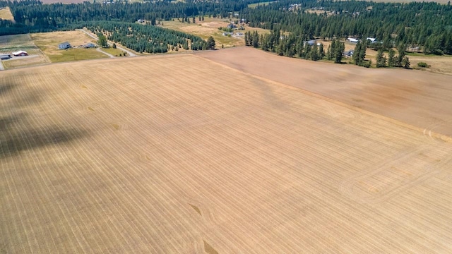 13303 E Gibbs Rd, Mica, WA 99023