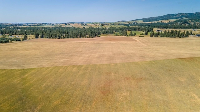 13303 E Gibbs Rd, Mica, WA 99023