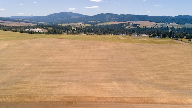 13303 E Gibbs Rd, Mica, WA 99023