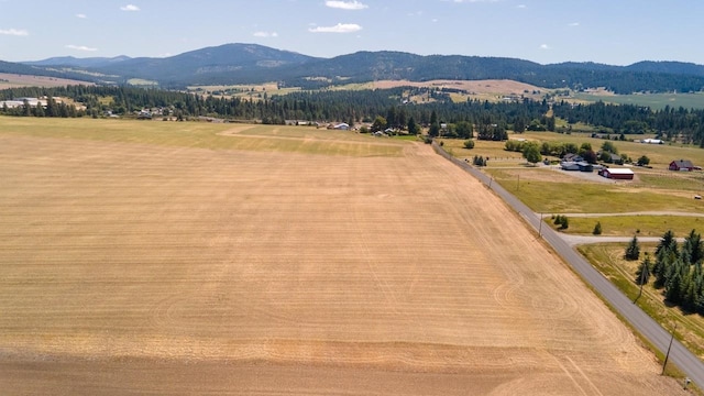 13303 E Gibbs Rd, Mica, WA 99023