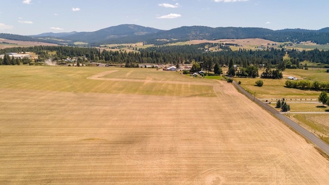 13303 E Gibbs Rd, Mica, WA 99023