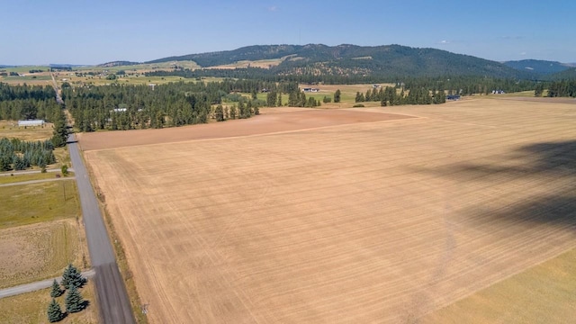 13303 E Gibbs Rd, Mica, WA 99023