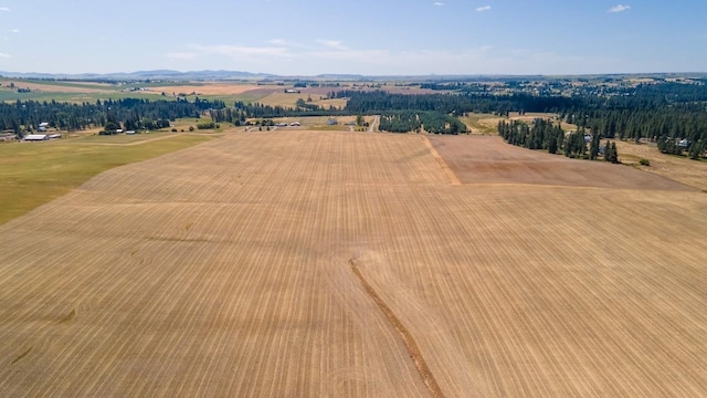 13303 E Gibbs Rd, Mica, WA 99023