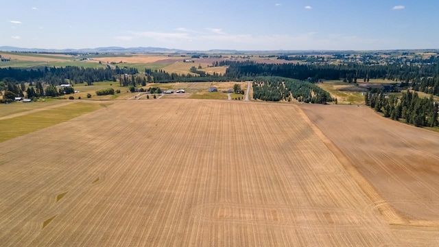 13303 E Gibbs Rd, Mica, WA 99023