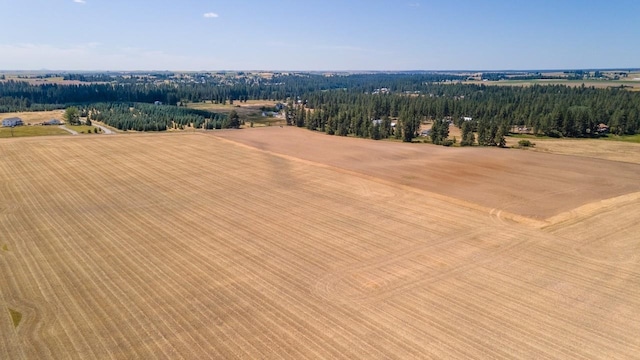 13303 E Gibbs Rd, Mica, WA 99023