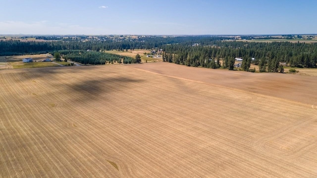 13303 E Gibbs Rd, Mica, WA 99023