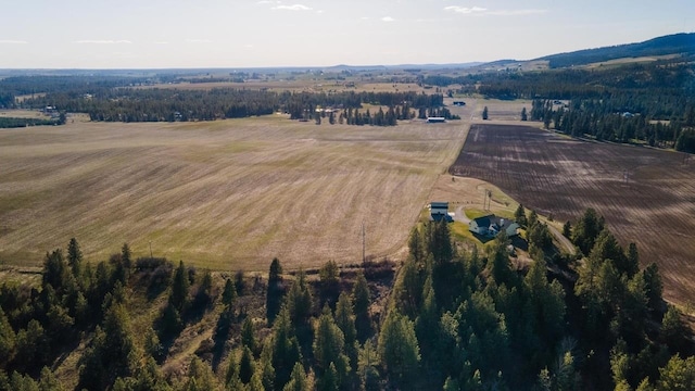 13509 E Gibbs Rd, Mica, WA 99023