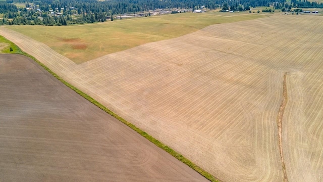 13509 E Gibbs Rd, Mica, WA 99023