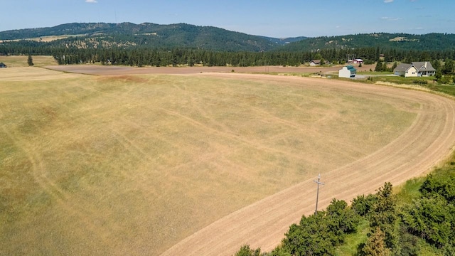 13509 E Gibbs Rd, Mica, WA 99023