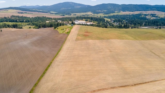 13509 E Gibbs Rd, Mica, WA 99023