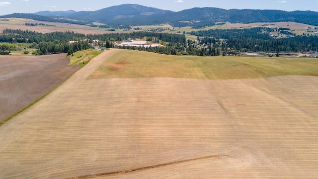13509 E Gibbs Rd, Mica, WA 99023