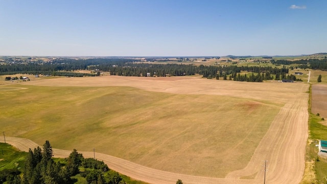 13509 E Gibbs Rd, Mica, WA 99023