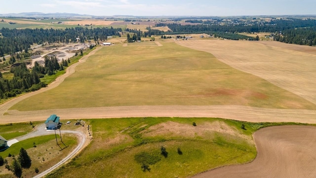13509 E Gibbs Rd, Mica, WA 99023