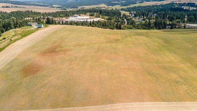 13509 E Gibbs Rd, Mica, WA 99023