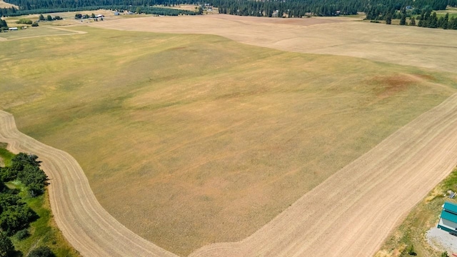 13509 E Gibbs Rd, Mica, WA 99023