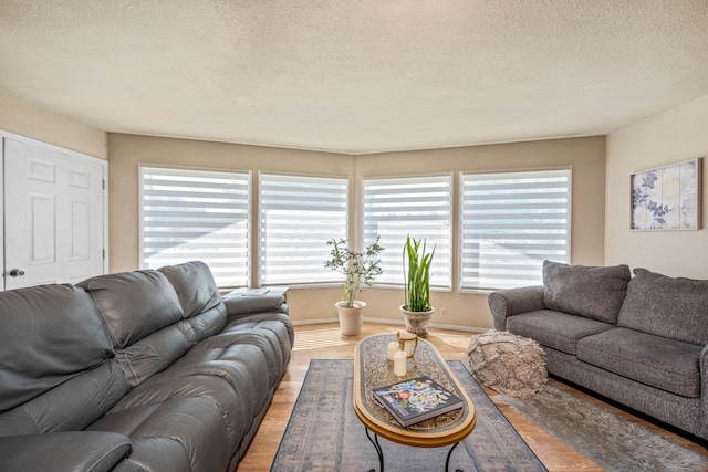 447 E Dakota Ave, Hayden, ID 83835 - living area featuring a textured ceiling and light wood-type flooring