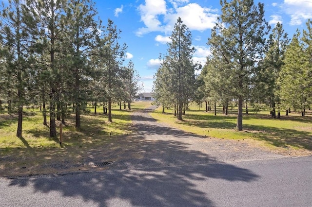 27907 N Bruce Rd, Chattaroy, WA 99003 - photo 36
