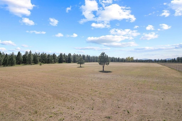 27907 N Bruce Rd, Chattaroy, WA 99003 - photo 37