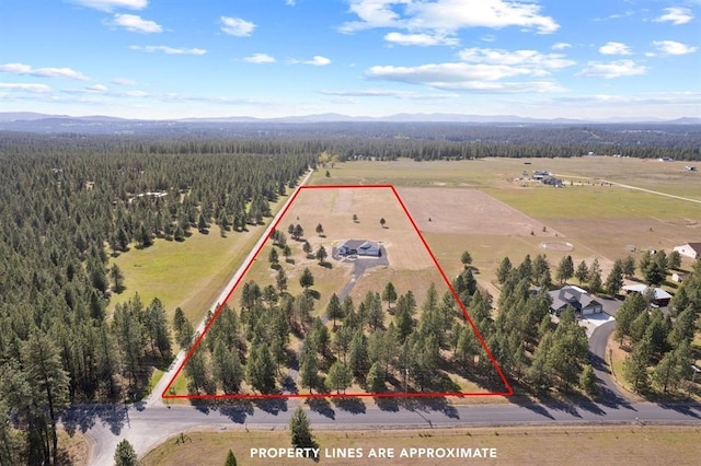 27907 N Bruce Rd, Chattaroy, WA 99003 - photo 40
