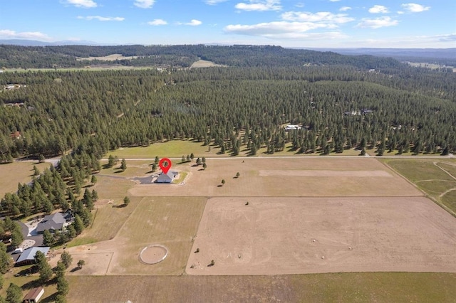 27907 N Bruce Rd, Chattaroy, WA 99003 - photo 41