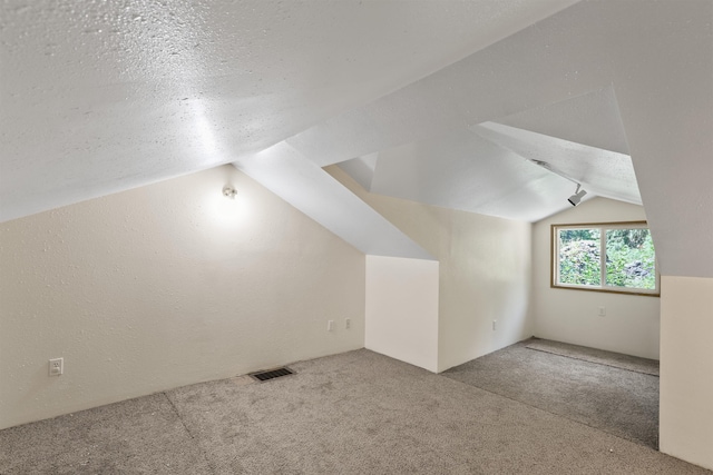 17221 N Little Spokane Dr, Colbert, WA 99005 - additional living space with carpet floors, vaulted ceiling, and a textured ceiling