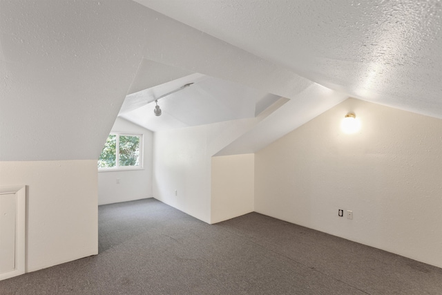 17221 N Little Spokane Dr, Colbert, WA 99005 - additional living space featuring carpet floors, lofted ceiling, and a textured ceiling