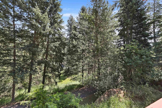17221 N Little Spokane Dr, Colbert, WA 99005 - view of wooded area