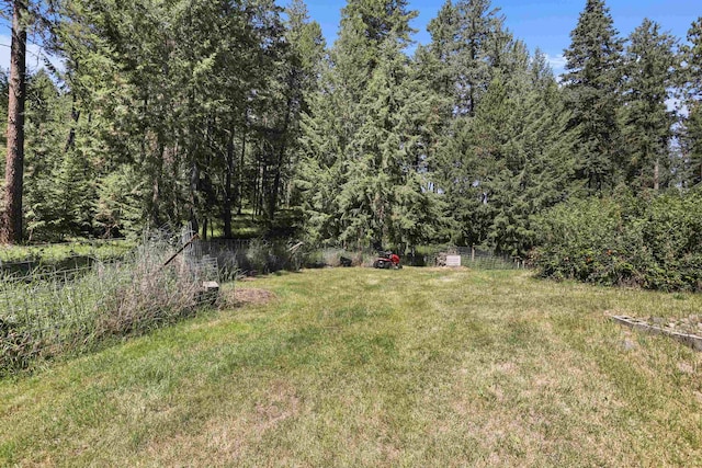 17221 N Little Spokane Dr, Colbert, WA 99005 - view of yard