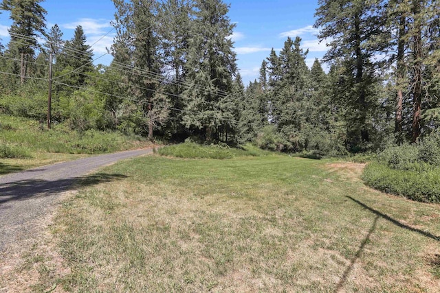 17221 N Little Spokane Dr, Colbert, WA 99005 - view of grassy yard