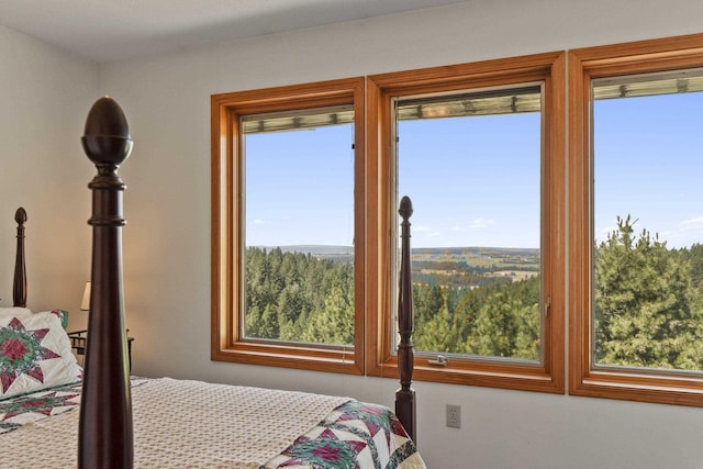 17607 E Judkins Rd, Spokane, WA 99217 - view of bedroom