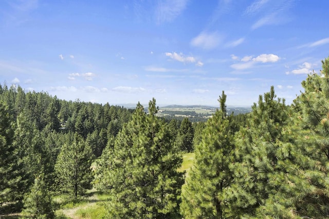 17607 E Judkins Rd, Spokane, WA 99217 - mountain view with a heavily wooded area