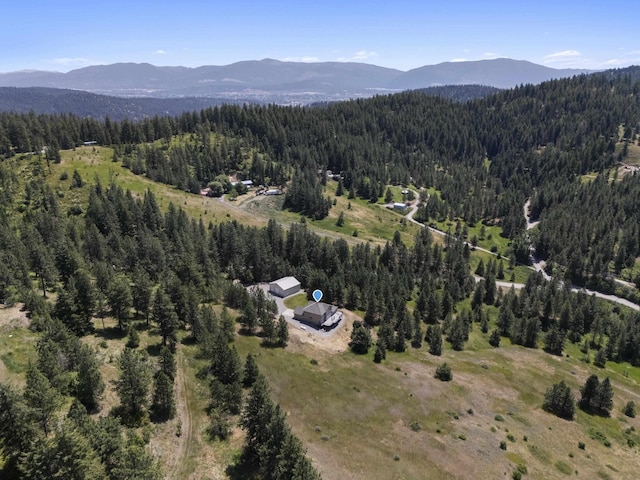 17607 E Judkins Rd, Spokane, WA 99217 - aerial view of property's location featuring a forest and mountains