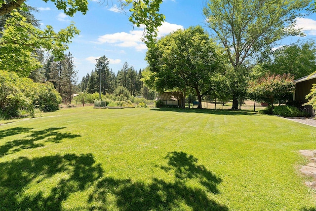 996A Basin Rd, Colville, WA 99114 - view of green lawn
