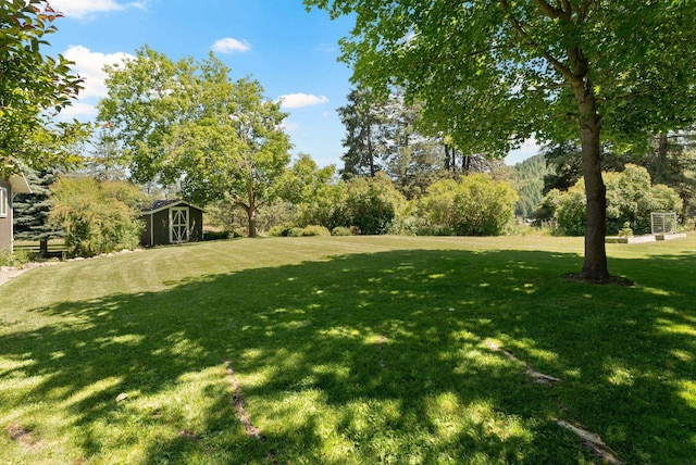 996A Basin Rd, Colville, WA 99114 - view of grassy yard featuring a storage shed and view of wooded area
