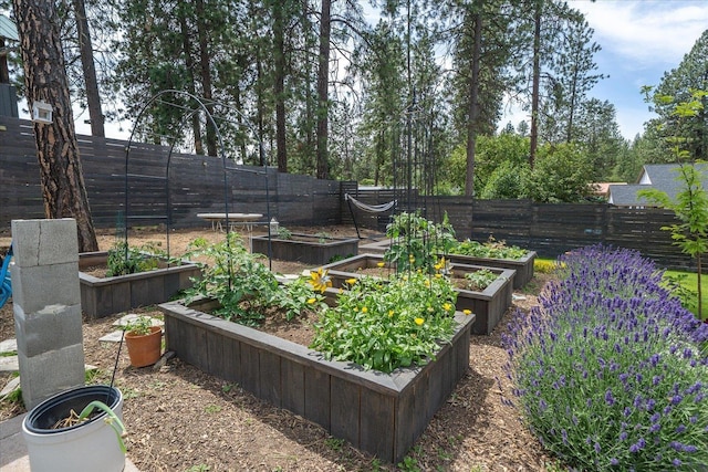 3103 W 18th Ave, Spokane, WA 99224 - fenced backyard with a vegetable garden