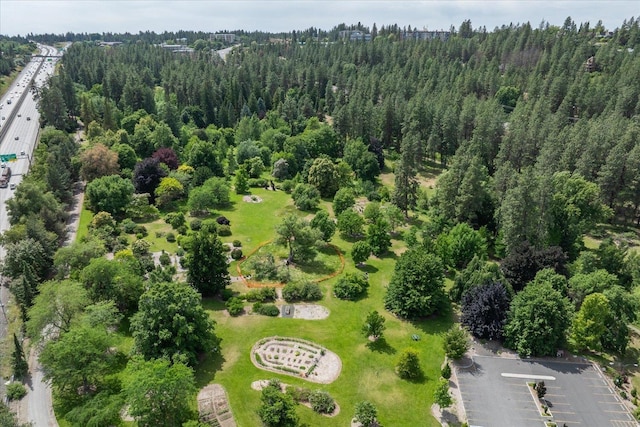 3103 W 18th Ave, Spokane, WA 99224 - aerial view of a forest