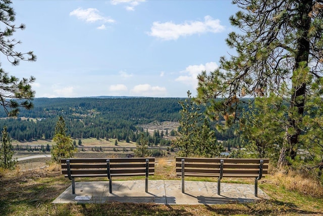 1123 W 25th Ave, Spokane, WA 99203 - view of community with a view of trees