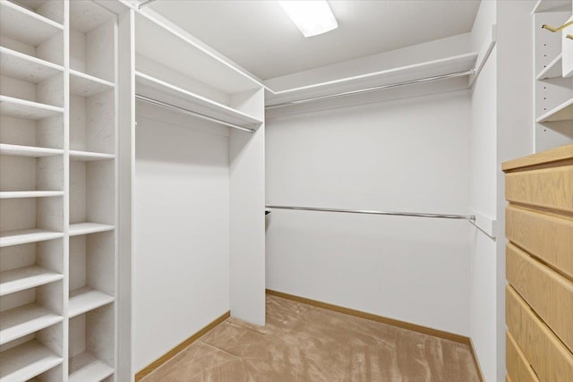 5430 S Quail Ridge Cir, Spokane, WA 99223 - walk in closet featuring light carpet
