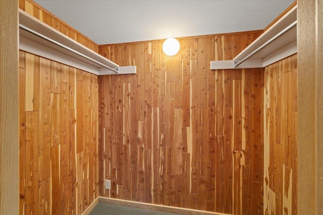 5430 S Quail Ridge Cir, Spokane, WA 99223 - spacious closet with carpet