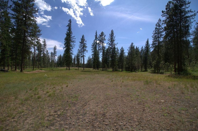 1425 N Chapin Rd, Evans, WA 99126 - view of tree filled area