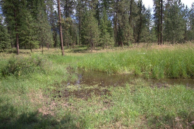1425 N Chapin Rd, Evans, WA 99126 - view of wooded area