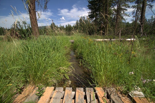 1425 N Chapin Rd, Evans, WA 99126 - view of yard
