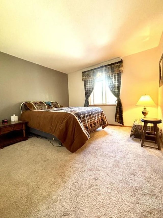 1425 N Chapin Rd, Evans, WA 99126 - view of carpeted bedroom