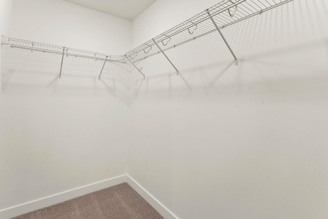 1215 S Radio Ln, Spokane Valley, WA 99212 - walk in closet with carpet floors