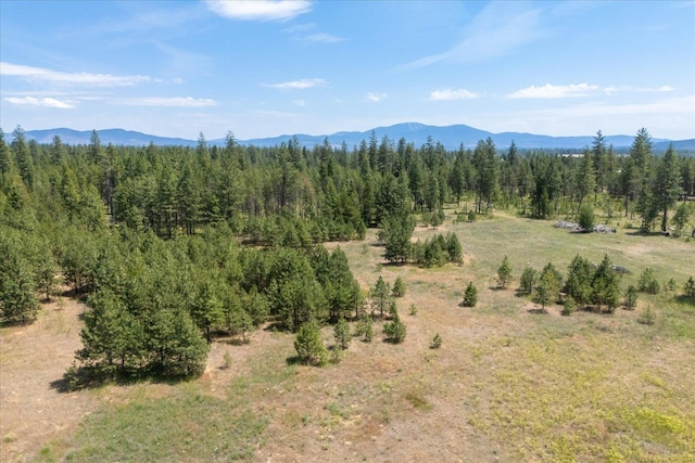 40010 N Newport Hwy, Elk, WA 99009 - view of mountain background